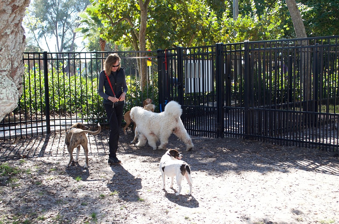 Sue Lupo brings Derby to play with Max, Nick, Gracie and Rudy.