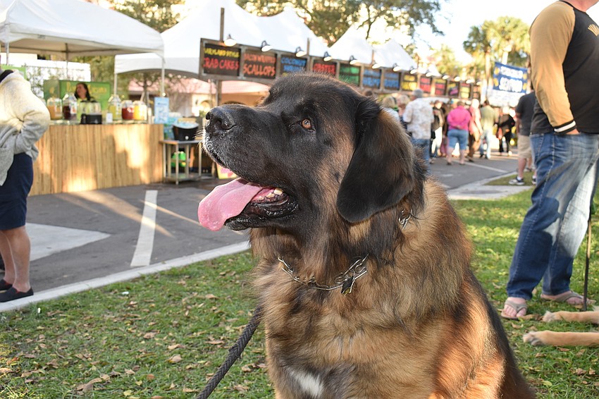Oakley came to listen to the sweet music.