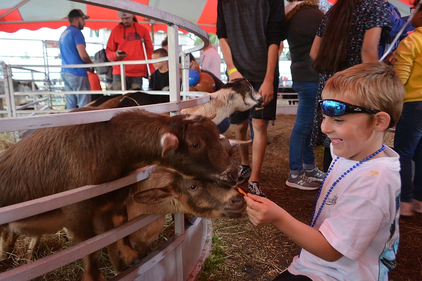 Bradenton 7-year-old Wyatt Brown entertains double-decker goats at the Manatee County Fair