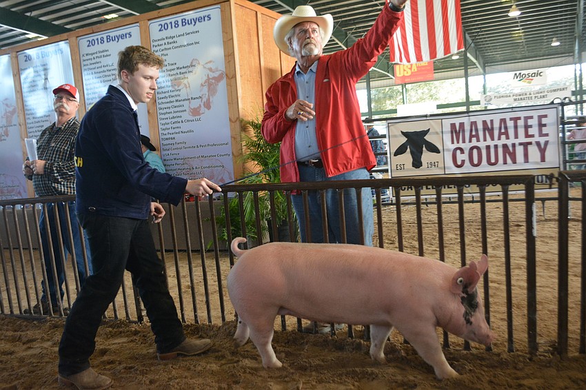 Lakewood Ranch FFA's J.T. Girman pushes his pig, Lindsay Loham, as John Barnott, the director of building and services for Manatee County, records bids.