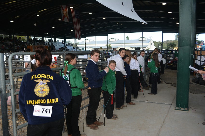 FFA and 4-H students wait patiently to auction off their pigs.