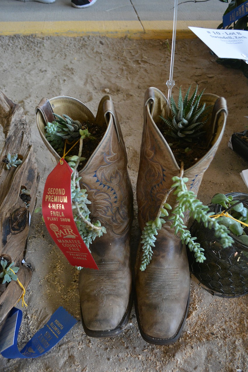 Not all boots are made for walking. These were made into a planter and entered into a fair contest by Zach Swindell.