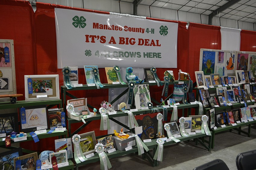 Manatee County 4-H judged hundreds of projects, which will be on display throughout the fair.