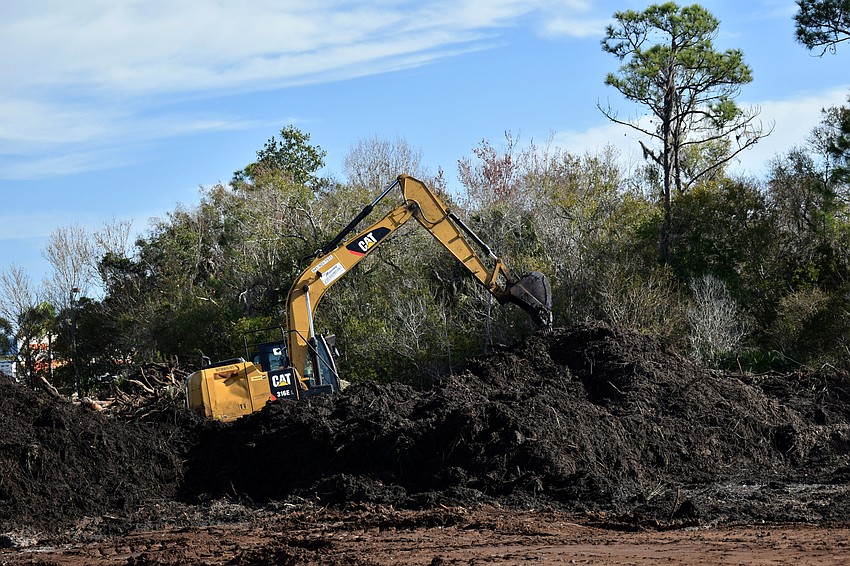 A construction crew worked to remove trees from the land where Sarasota Memorial's radiation oncology center will be built.