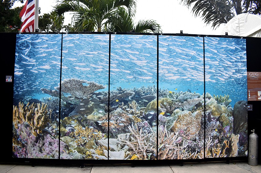 Chris Gug had his “Gug Underwater” work displayed.