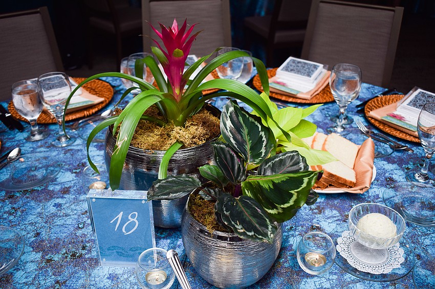 Plants were set up on each table.