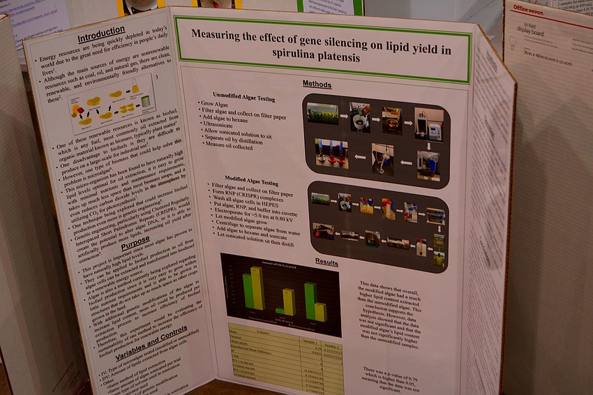 Bella Brush, an 11th grade student from Sarasota High School, completed her project on 