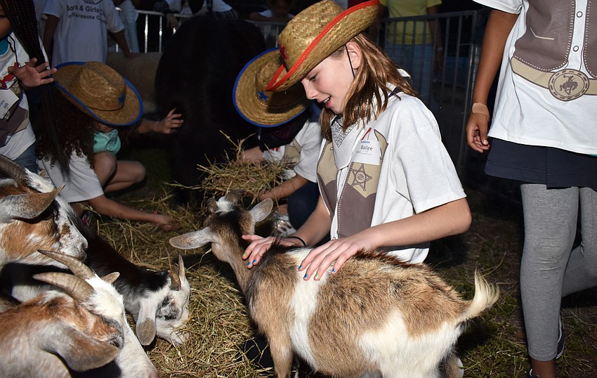 Club member Bailee pets one of the goats in the petting zoo.