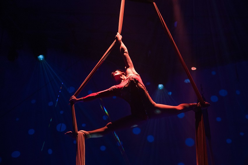 The Sailor Circus Aerial Silks