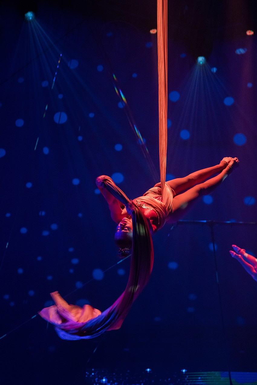 The Sailor Circus Aerial Silks