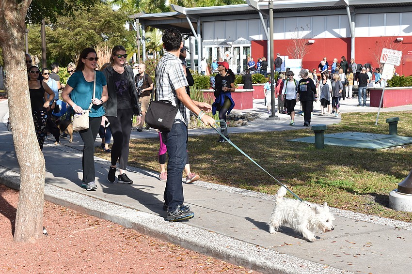 The women's walk brought out organizations and people from all over to end violence against women.