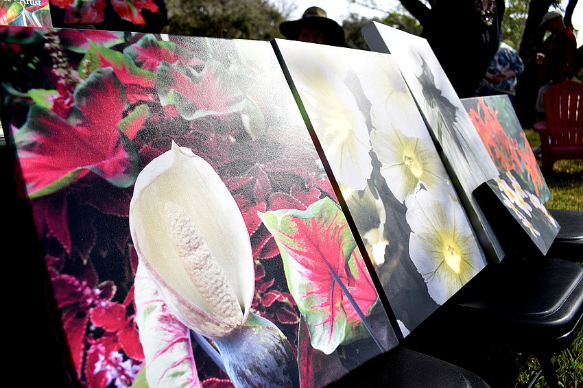 Photographs by Jim LaRose were on display.