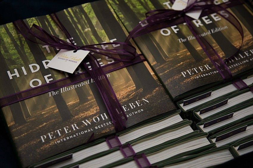 Anita Holec, Pamela Lockwood and June Cussen