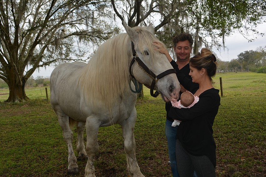 Ben Hur de Bernaville checks out newborn Ottavia Lucia Zoppe.