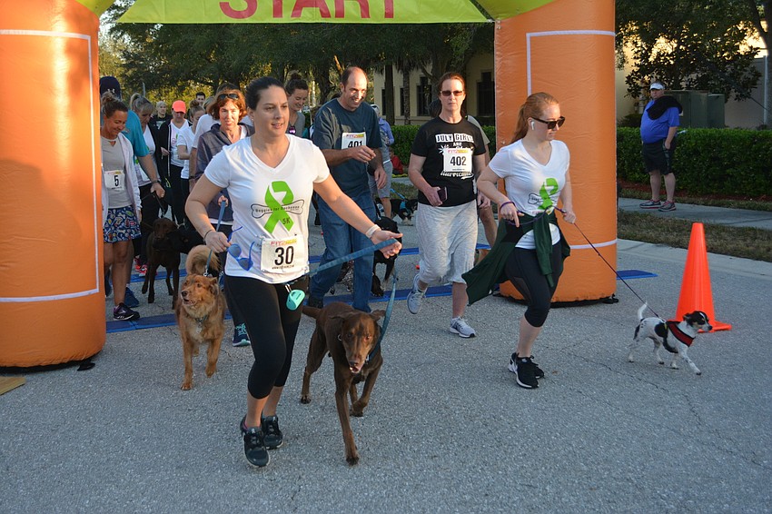 Palmetto's Sarah Calandra and Maddox, a chocolate lab, start the runners/dogs race.
