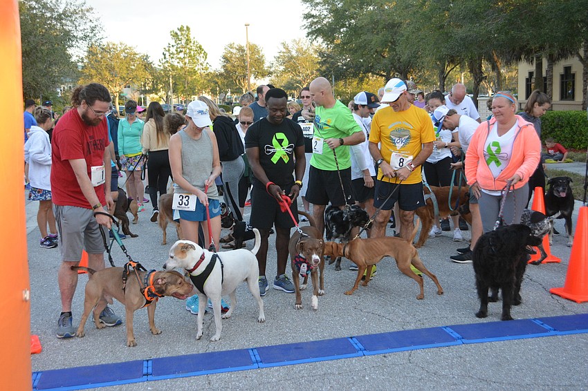 Competitors could smell a good race.