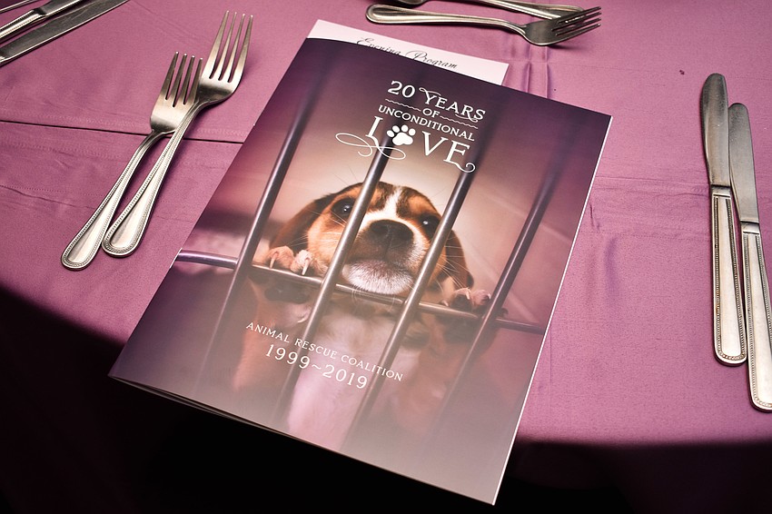 ARC is celebrating 20 years.