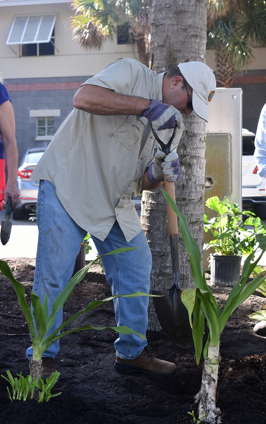Town Manager Tom Harmer works around a root while helping the Garden Club spruce up the Public Works property.