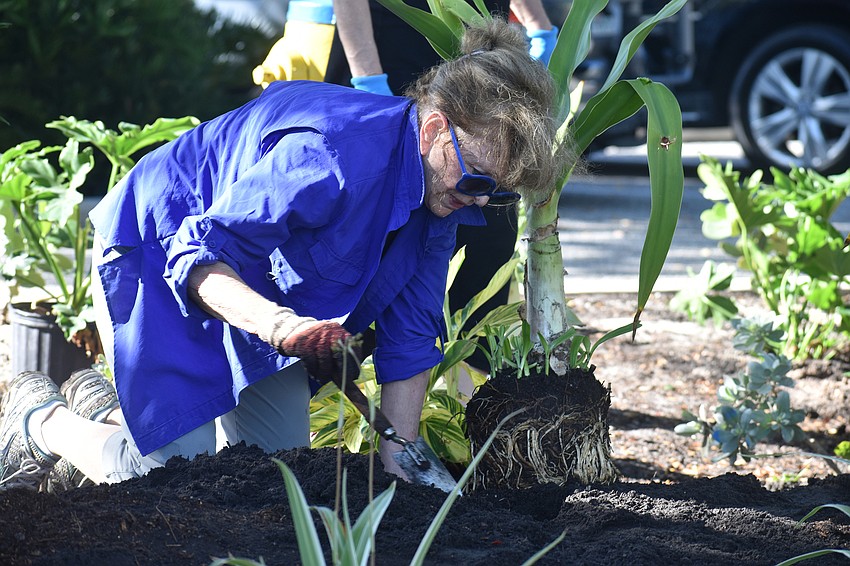 Rhonda Ellisor digs a hole for a new plant.