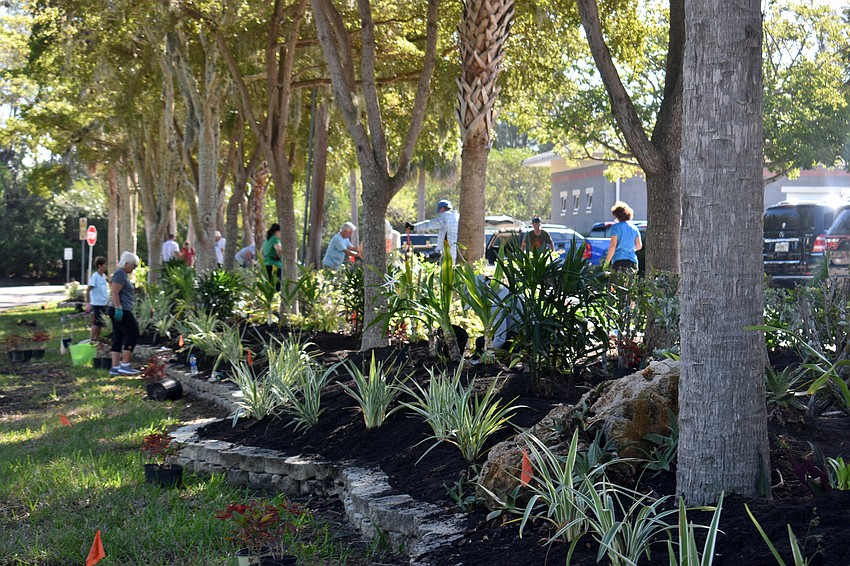 Between 300 and 400 new plants were scattered around the entrance of the Public Works building.