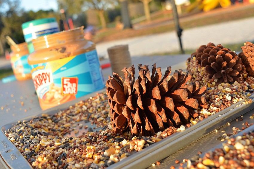Guests also could decorate pine cones with peanut butter and bird seed.
