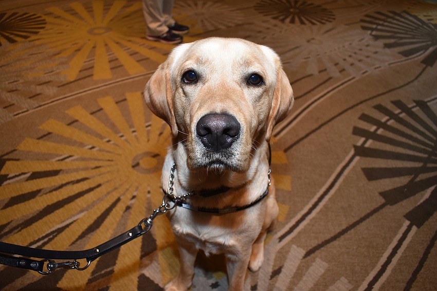 Pappy, Chrissy Terry's new guide dog, officially graduated from Southeastern Guide Dogs on March 1.