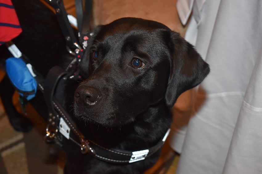 Liberty was one of 9 dogs who graduated on March 1. She will go home with Tatiana Henneha.