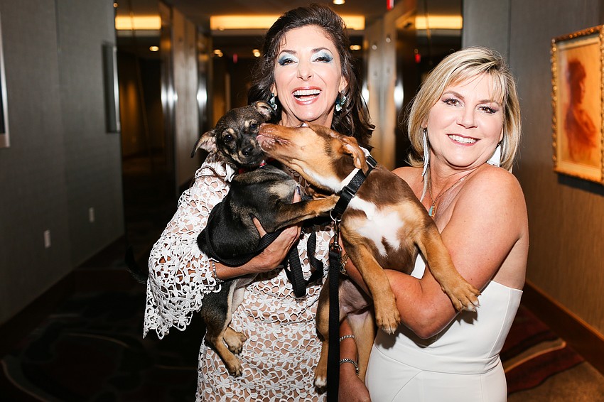 Co-Chairwomen Donna Koffman and Tammy Karp with two adoptable puppies.