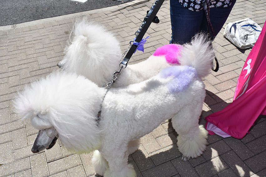 Makenna and Keilani had matching hearts shaved into their backs in purple and pink.