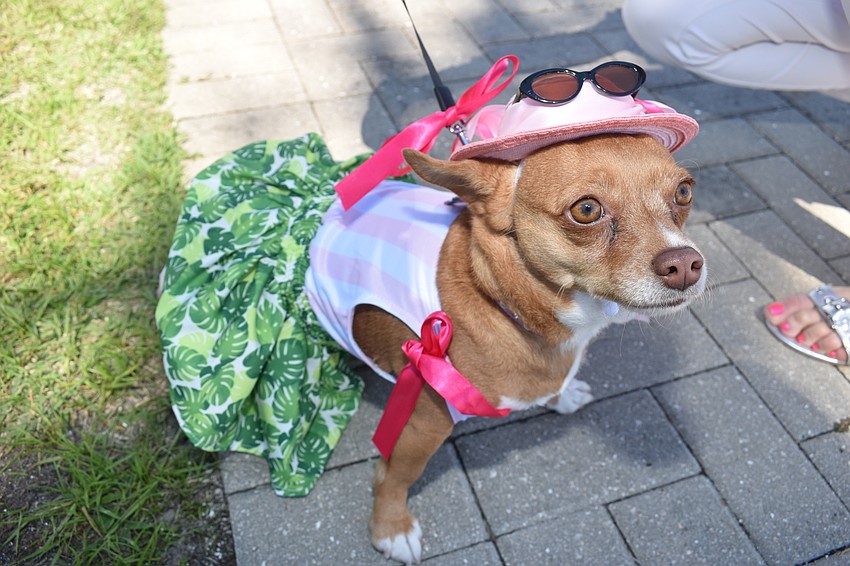 Tinkerbell was dressed up like a real lady.