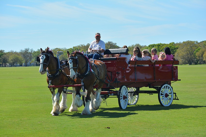 The kids, as always, received rides from the Budweiser Clydesdales.