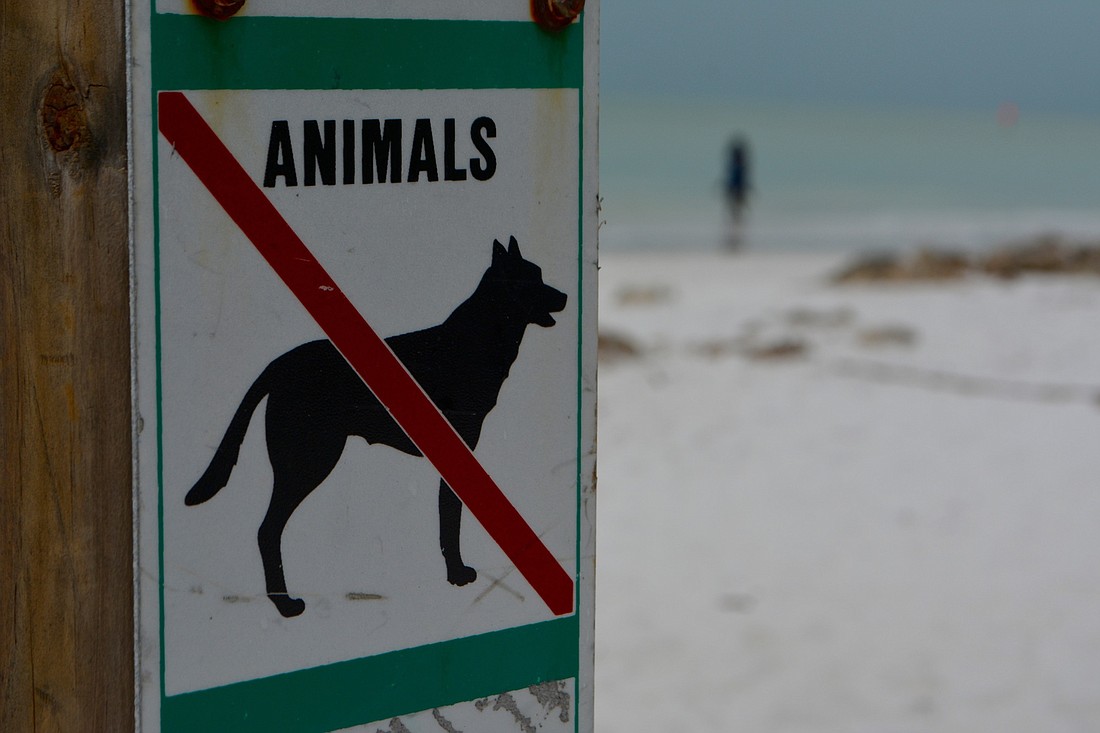 A sign signals to beachgoers that animals are not allowed on the beach.