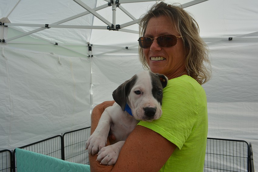 Suzanne Hoffman, a volunteer for Nate's, holds Scarecrow, an 8-week-old hound mix ready for adoption.