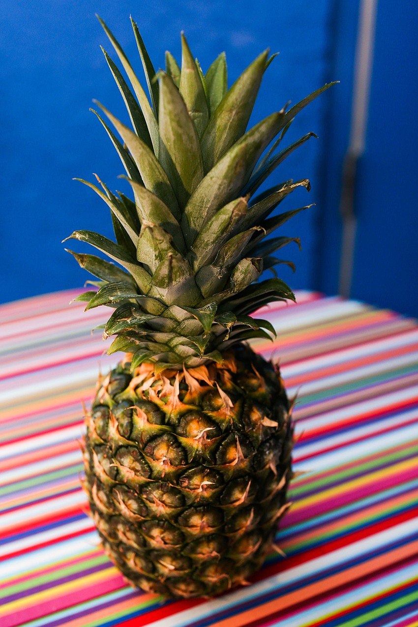 Pineapples decorated the colorful cocktail tables.
