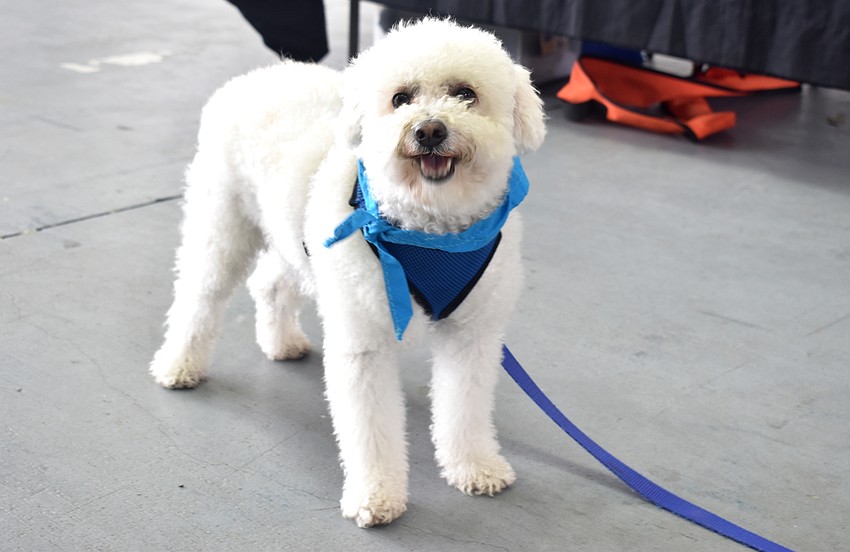 Jerry was on site to represent the Humane Society of Sarasota County.