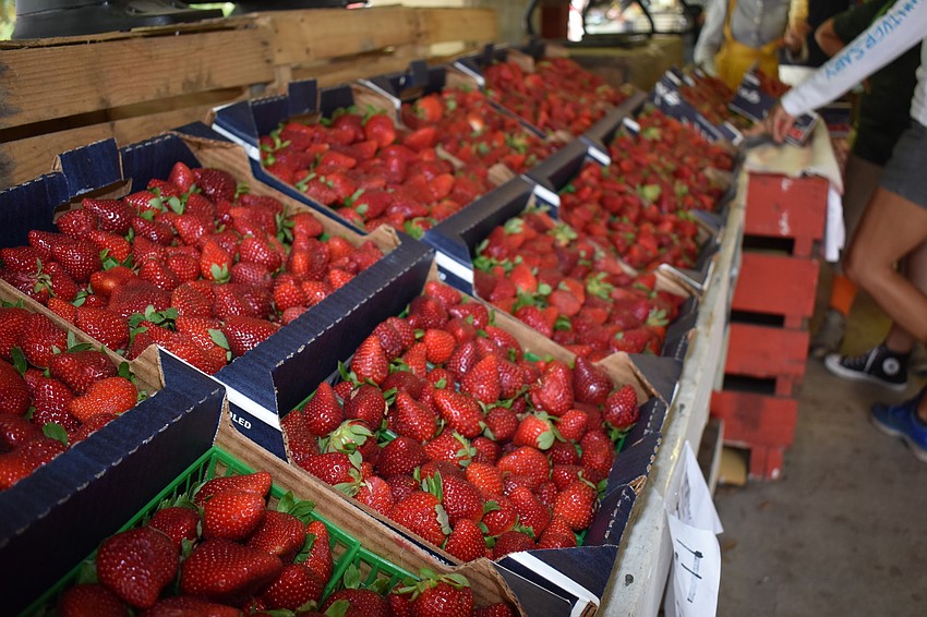 The namesake of the festival, the berries, were available for sale.