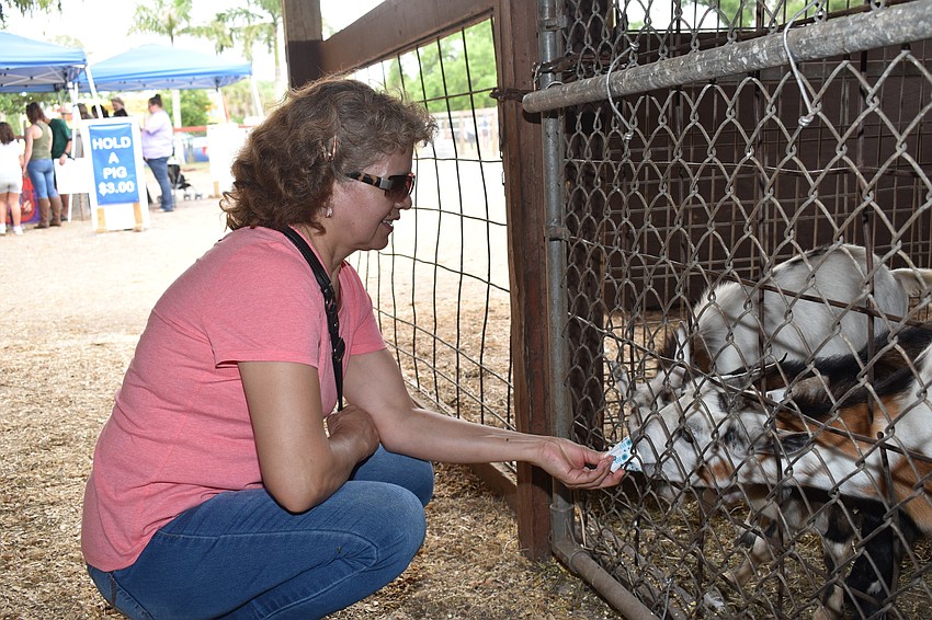 Socorro Eurbina fed a particularly hungry group of goats.
