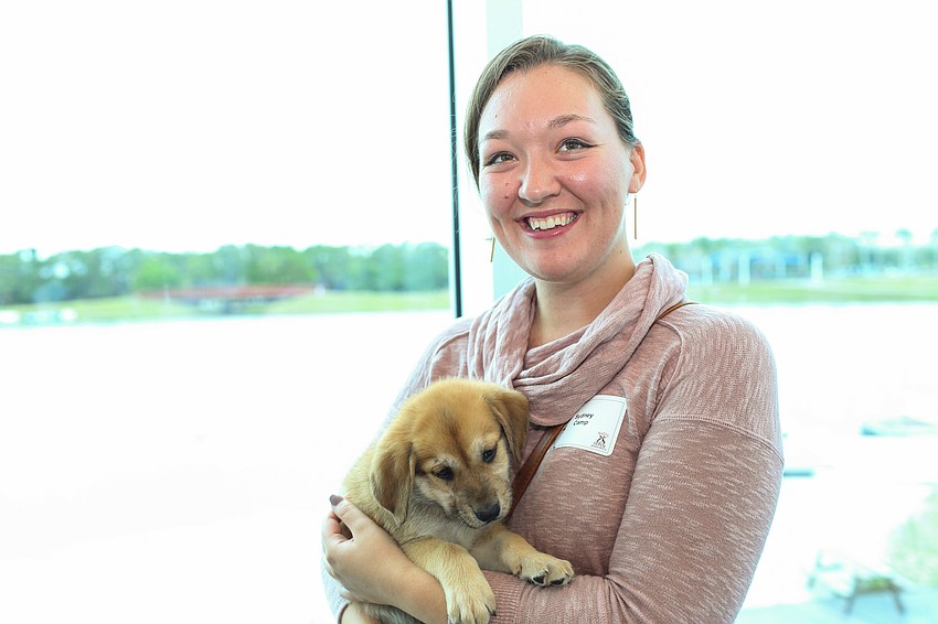 A puppy and Sydney Camp