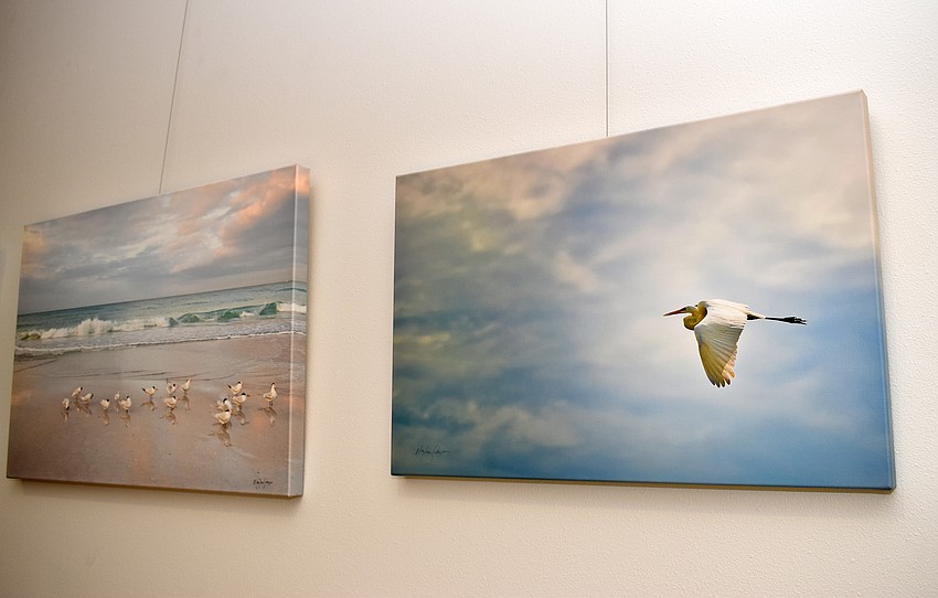 Artwork from 12 local artists hung around town hall for the reception. The pieces will stay there for three months.