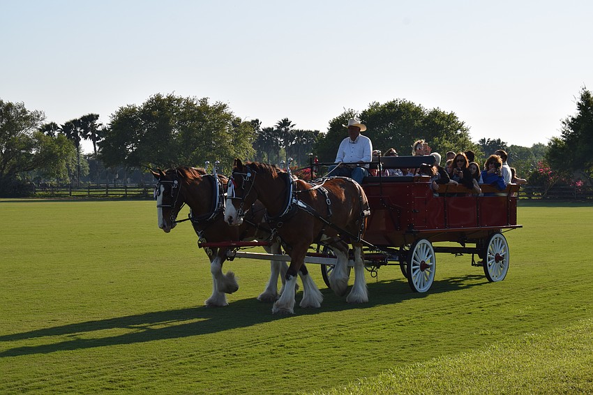 As the sun dipped toward the horizon, some visitors hopped on a wagon for a short ride.