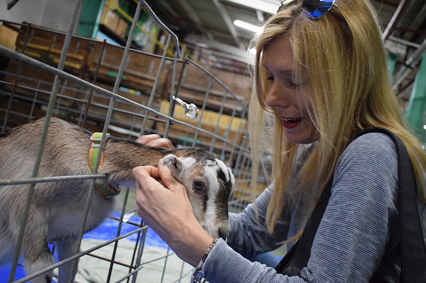 Cathi Castro of Sarasota pets one of the goats at the farm.