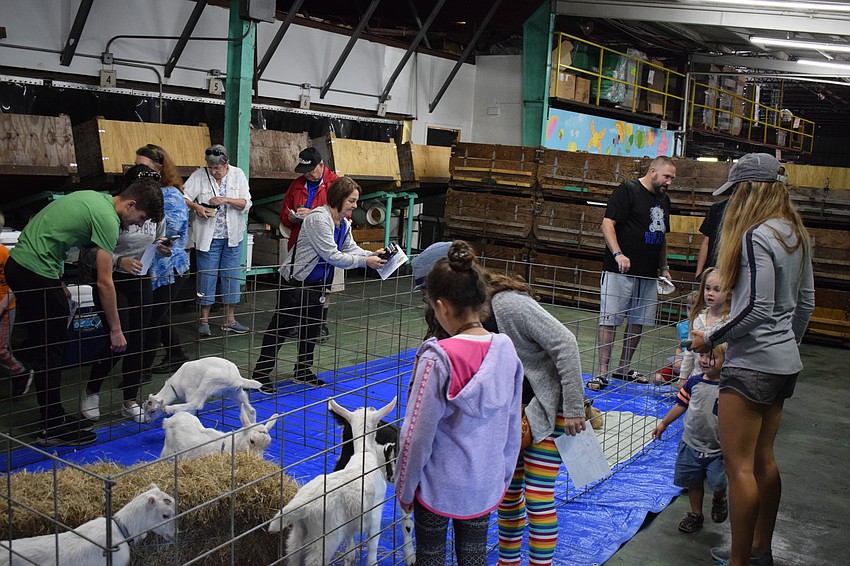 The goats gathered the attention of plenty of guests at the event.