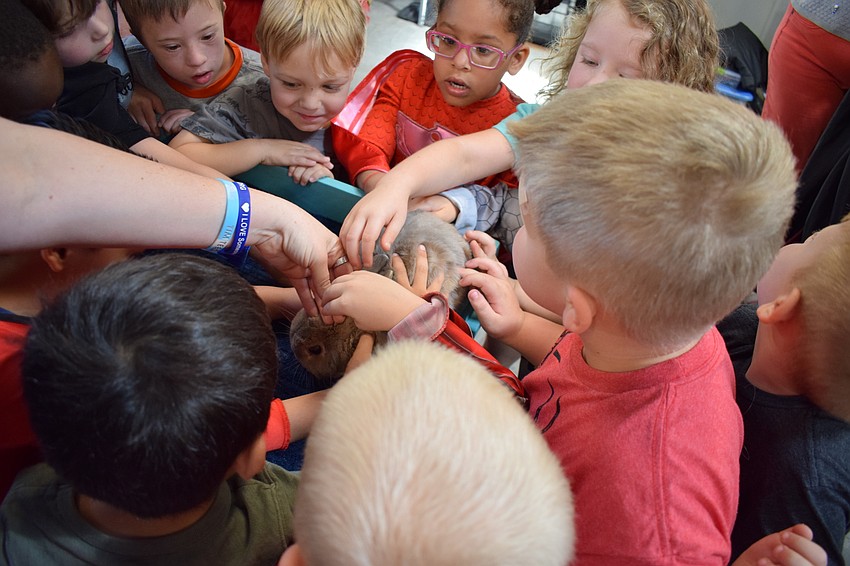 After Jeff the Juggler's performance concluded, preschoolers all got a turn to pet Peanut Butter the rabbit.