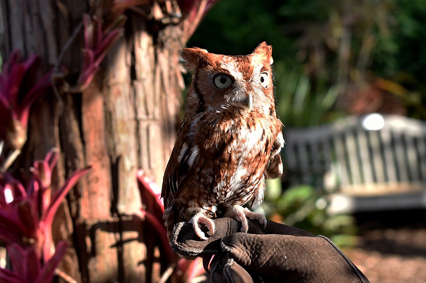 Myrtle was on hand to welcome guests.