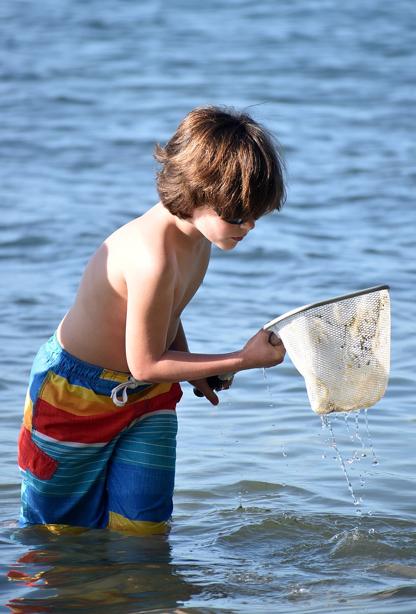 Logan Hays checks out his net for marine life.
