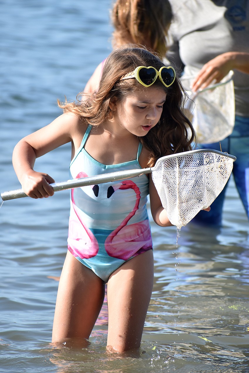 MacKenzie Powers examines her net to see if she scooped up any marine life.