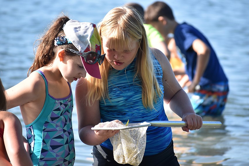 Isabella Lampos and  Dana Fasoldt search for marine life.