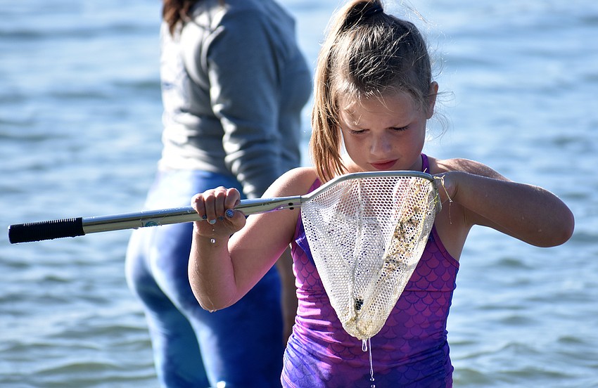 Zoe Kokemuller checks her net for marine life.