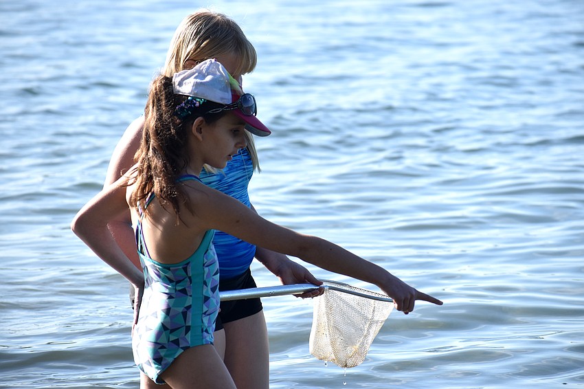 Isabella Lampos and  Dana Fasoldt search for marine life.