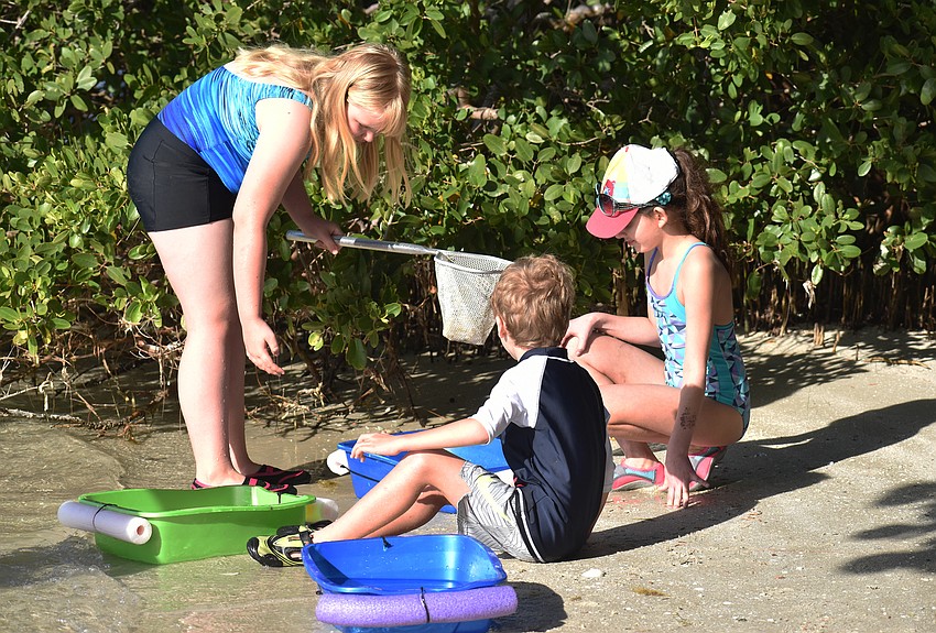 Dana Fasoldt, Ty Brown and Isabella Lampos check out the marine life other campers found.